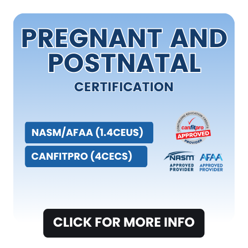Pregnancy Summit: Training Pre and Post Natal Women
